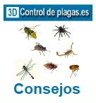 Promocion control de plagas Comunidades de vecinos / propietarios