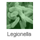 Control de Legionella