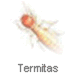 Tratamientos de la madera