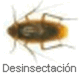 Desinsectación
