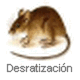 Desratización